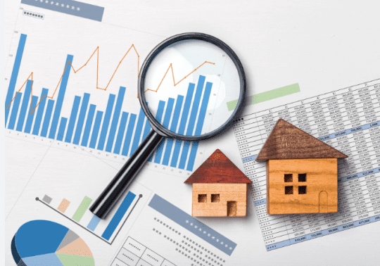 What are professional property investors doing in 2023?